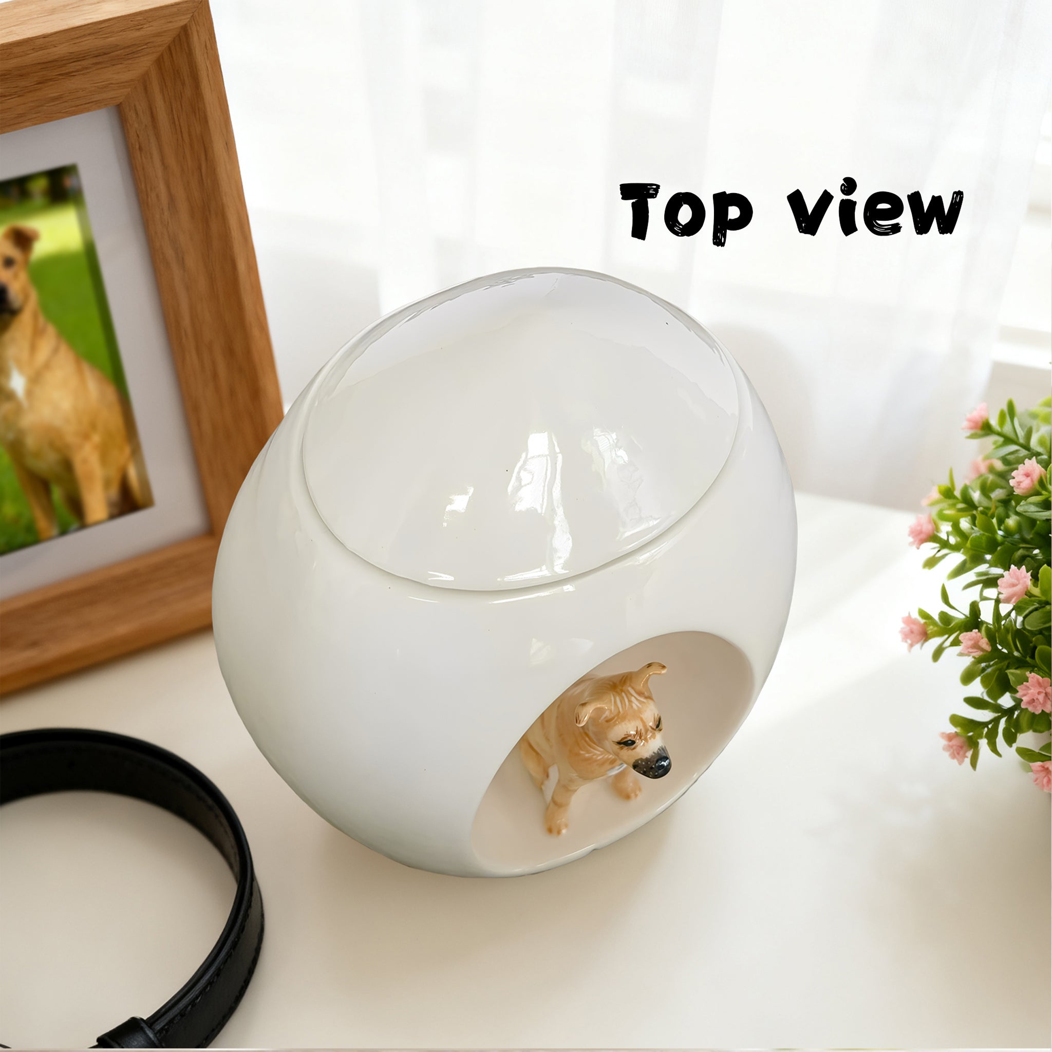 Personalized Dog Urn – Hand-Painted Ceramic Lifelike Portrait,Name and Date,Forever Home for Beloved Pet