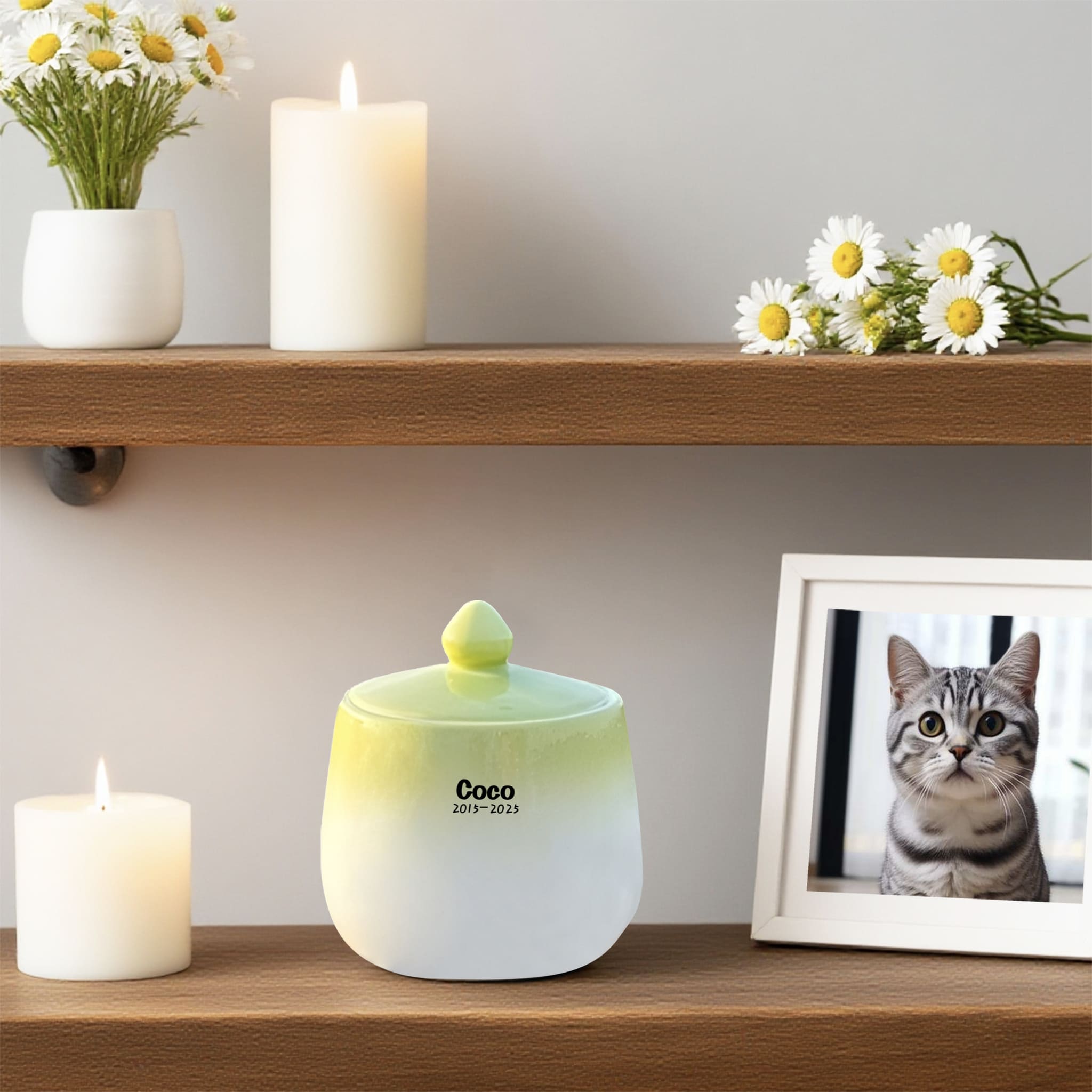 Exclusively Handmade Ragdoll Cat Urn: A Loving Tribute to Your Departed Bella
