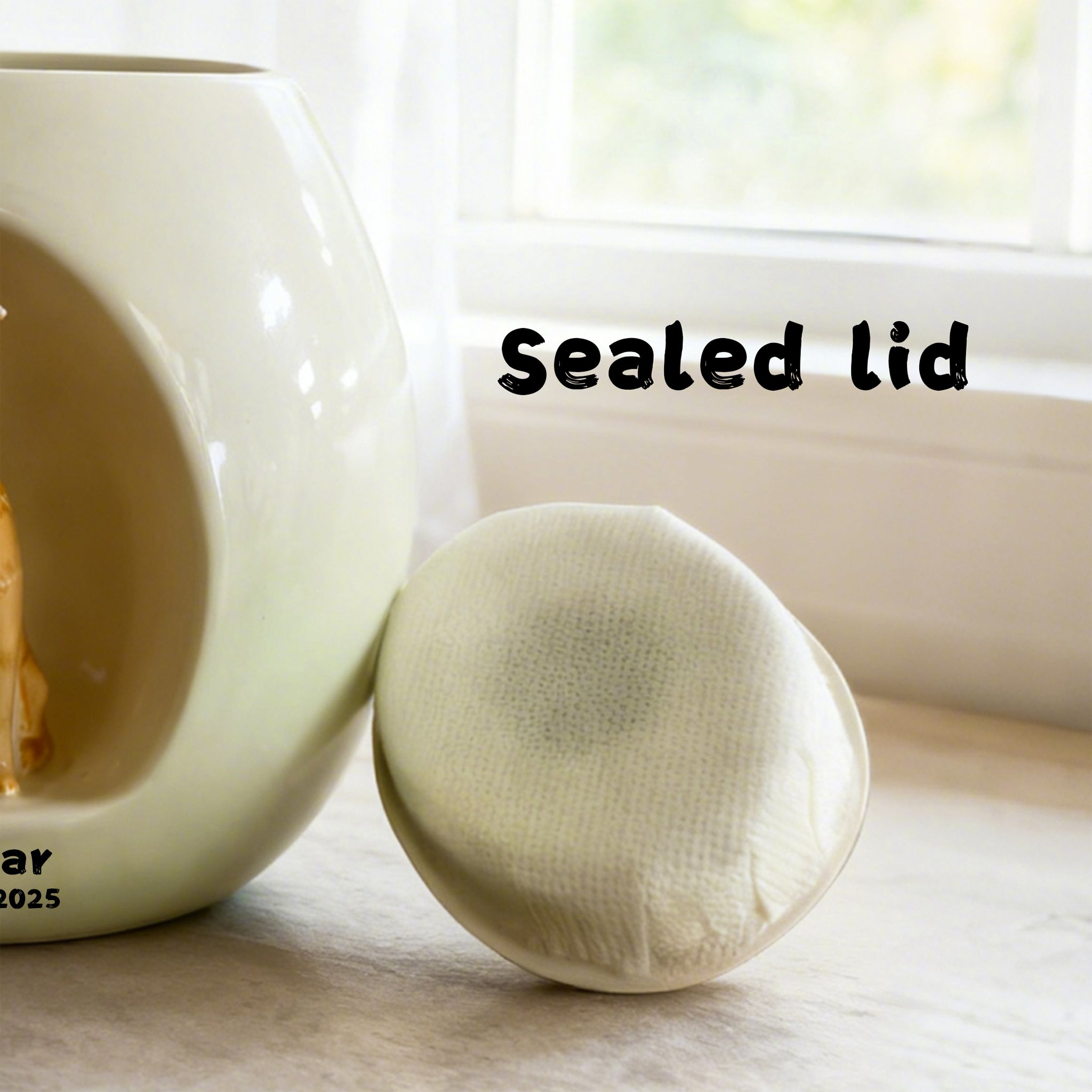 Personalized Ceramic Dog Urn for Ashes