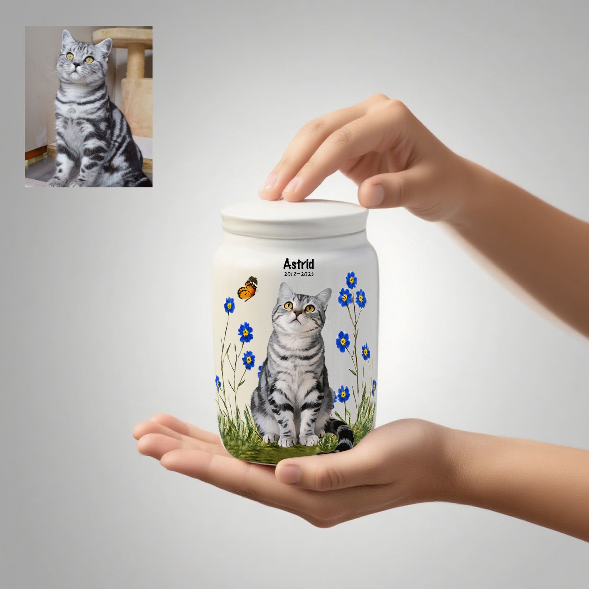 Custom - designed American Shorthair Cat Urn: Honor the Life of Your Dearest Kitty