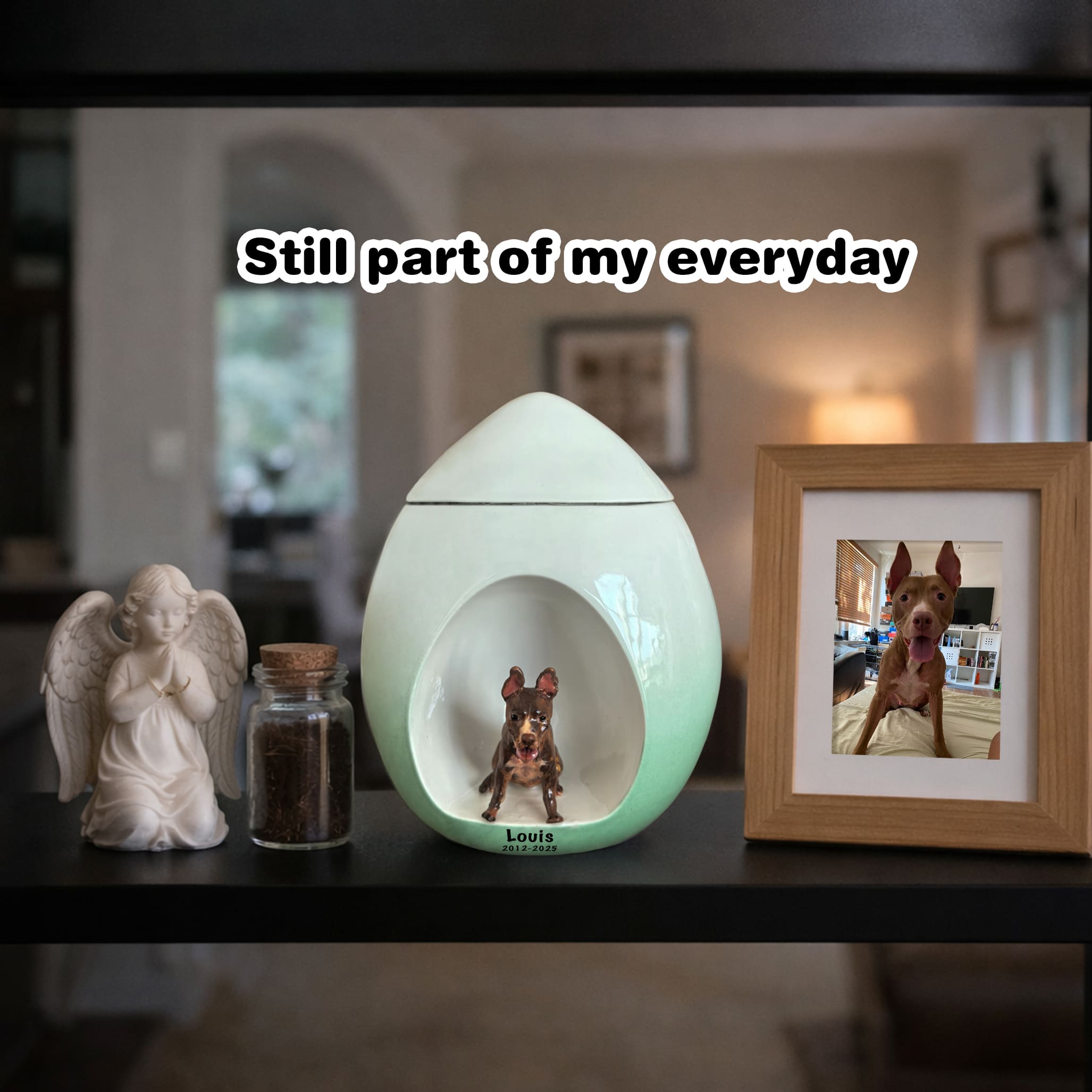 Luxury Teardrop Dog Urn Customisation